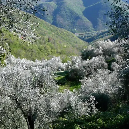 Hébergement de vacances Casa Sissi, Sehnsuchtsort Zwischen Olivenhainen *