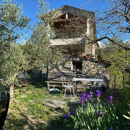 בית נופש Casa Sissi, Sehnsuchtsort Zwischen Olivenhainen *