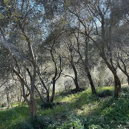 Casa Sissi, Sehnsuchtsort Zwischen Olivenhainen בית נופש Ranzo-Borgo