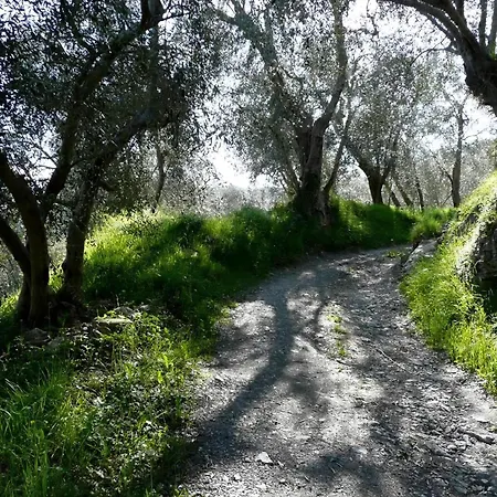 בית נופש Casa Sissi, Sehnsuchtsort Zwischen Olivenhainen Ranzo-Borgo