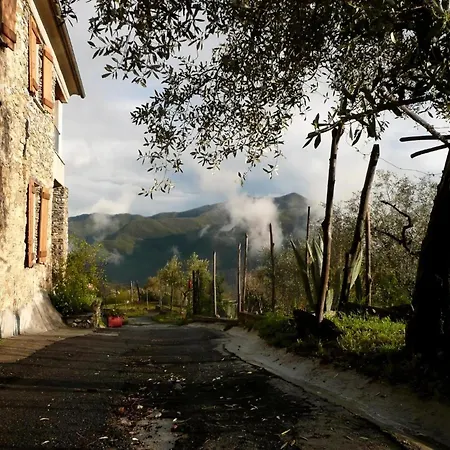 Casa Sissi, Sehnsuchtsort Zwischen Olivenhainen * Ranzo-Borgo